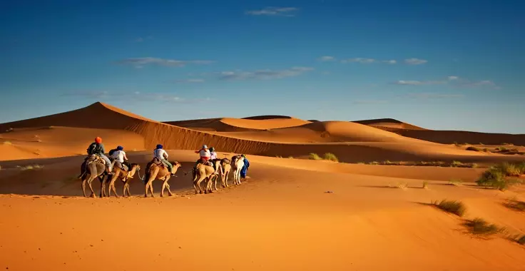 Desert of Morocco: 2 nights camel trekking in Merzouga