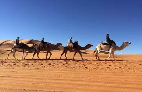 Paseo en camello y noche en Merzouga Excursión en camello y noche en Merzouga