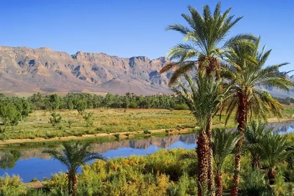 2-day Marrakech to Zagora desert tour