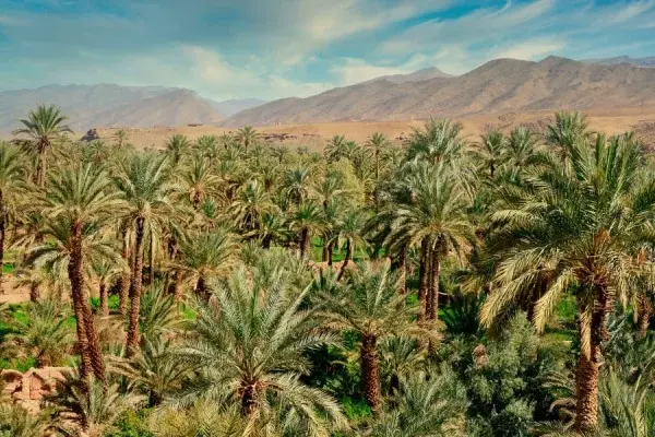 Tour de 3 días por el desierto desde Agadir a Merzouga