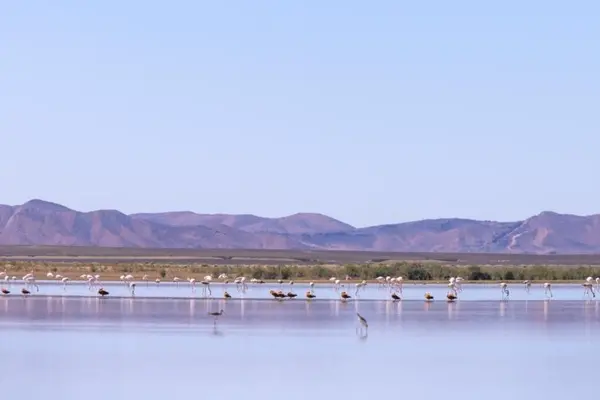 Lago Merzouga Tour de 7 días por el desierto desde Agadir a Merzouga