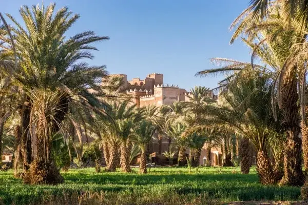 Skoura Palm Grove 4 Days Tour from Fes to Marrakech