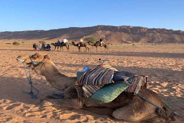 2-day Marrakech to Zagora desert tour