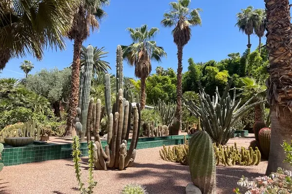 Jardin Majorelle Marrakech 11 Days Tour in Morocco from Agadir