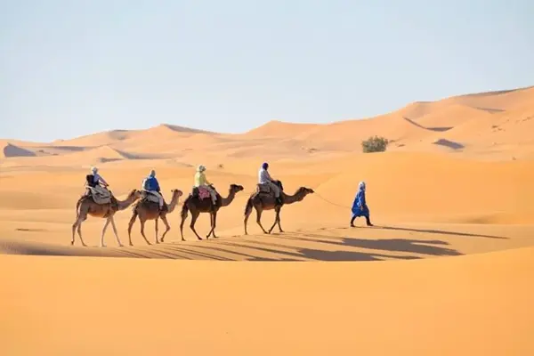 Merzouga Camel ride experience 4 Days Tour from Fes to Marrakech
