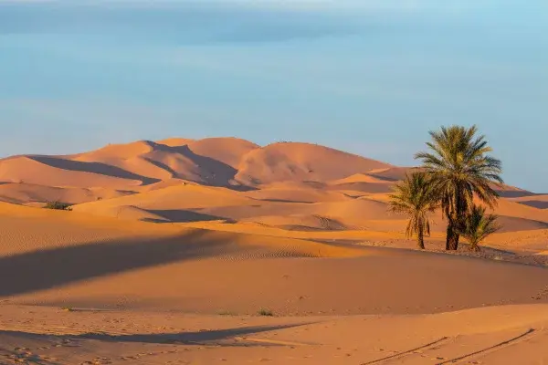 Merzouga Erg Chebbi Dunes 3 Days Fes to Marrakech Desert Tour