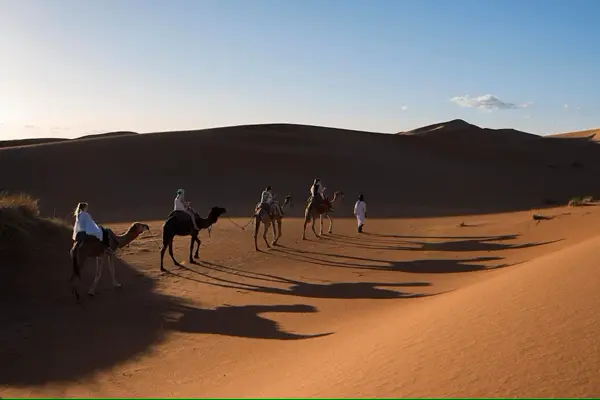 Paseo en camello por Merzouga Tour de 7 días por el desierto desde Agadir a Merzouga