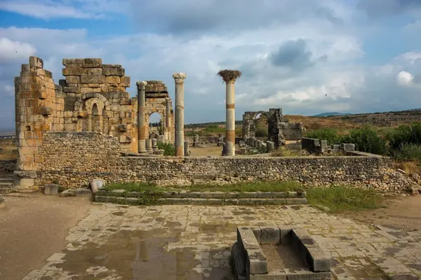 Volubilis Itinerario de 7 días por Marruecos
