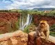 Excursión de un día desde Marrakech a las cascadas de Ouzoud