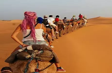 Paseo en Camello y Noche en Merzouga Desierto