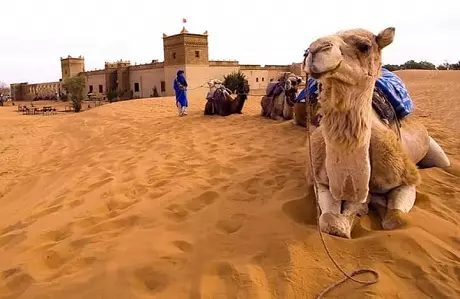 Paseo en camello de 2 noches en el desierto de Merzouga