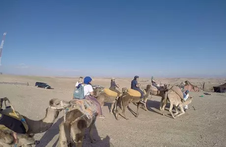 Agafay Desert Day Trip from Marrakech - Agafay Desert Camel Ride