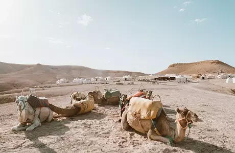 Excursión de un día al desierto de Agafay desde Marrakech