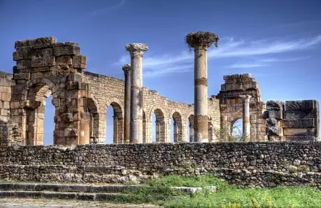 Excursión de un día desde Fez a Meknes y Volubilis