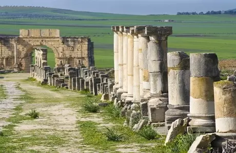 Excursión de un día desde Fez a Meknes y Volubilis