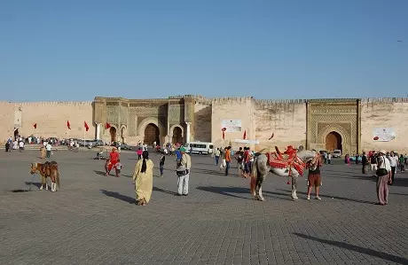 Excursión de un día desde Fez a Meknes y Volubilis