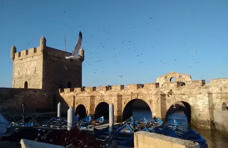 Excursión de un día a Essaouira desde Marrakech