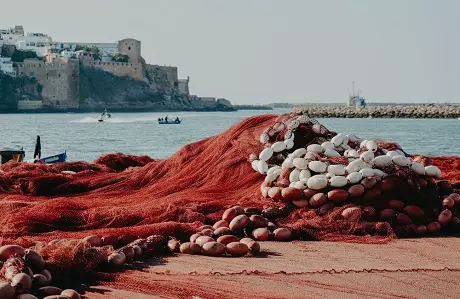 Essaouira Day Trip from Marrakech