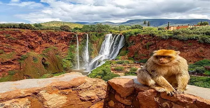 Ouzoud waterfalls Day Trip from Marrakech